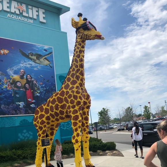 chellebelle3235